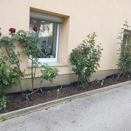 Hisa Javornik Vakantiehuis Bohinj