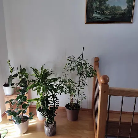 Hisa Javornik Vakantiehuis *